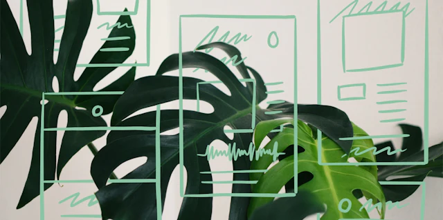 10 beautiful newsletter design templates for time-strapped creators + personalization tips